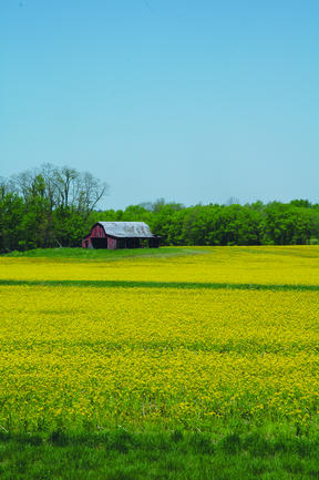 DSC_5817.jpg