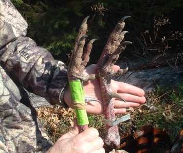 s melum spurs 08.jpg