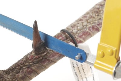 cuttingspur for web.jpg